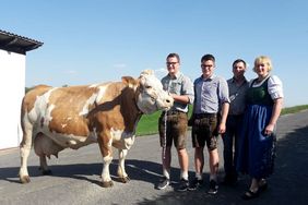 Milchviehbetrieb Familie Staudacher in Riegersburg - Erfolgreich mit traditionellen Methoden