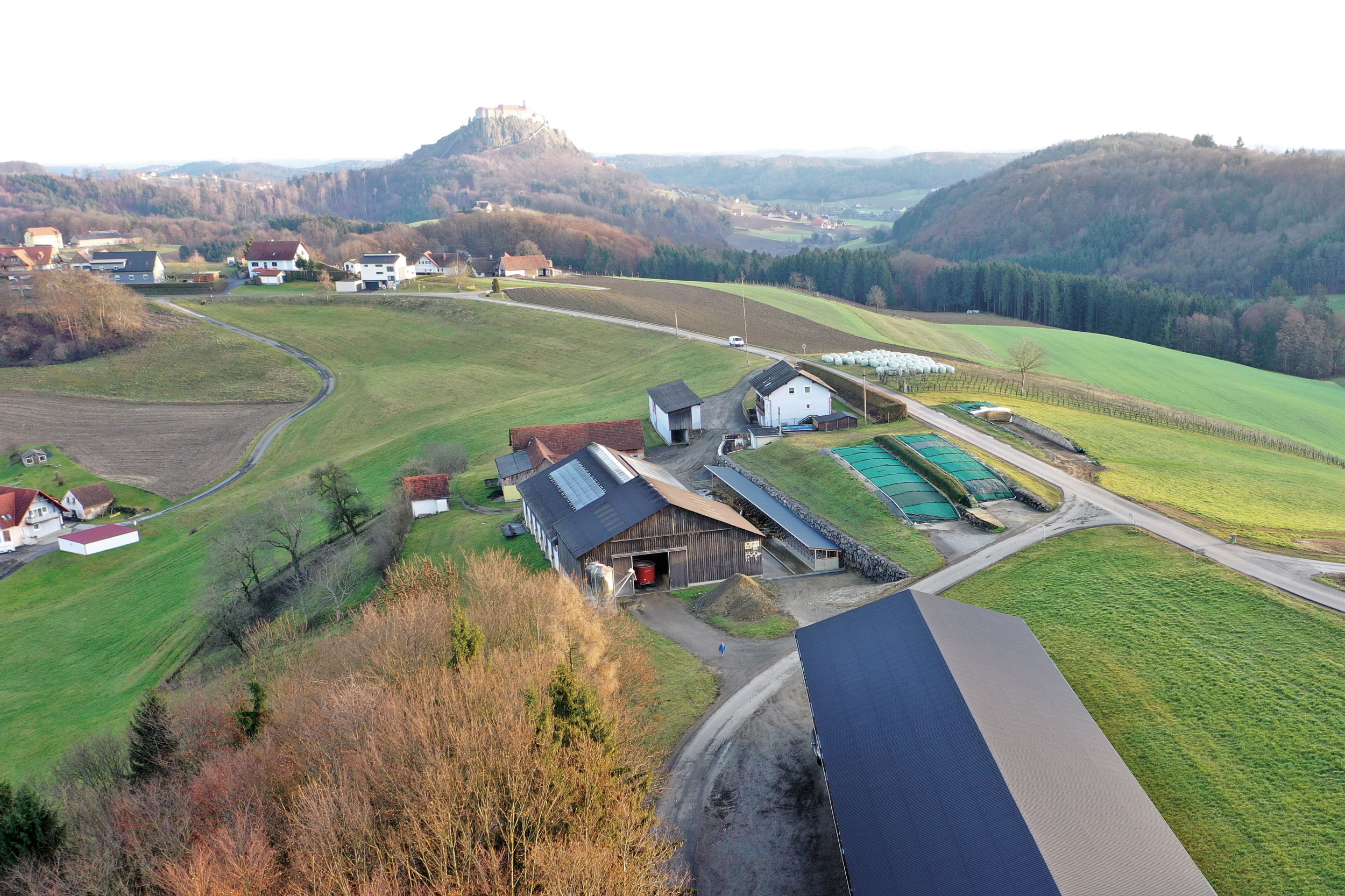 Milchviehbetrieb Familie Staudacher mit Blick auf die Riegersburg - Erfolgreich mit traditionellen Ansätzen